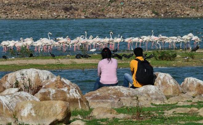 Saving a lake – Ameenpur lake is one of the favourite spots for bird watchers in the city